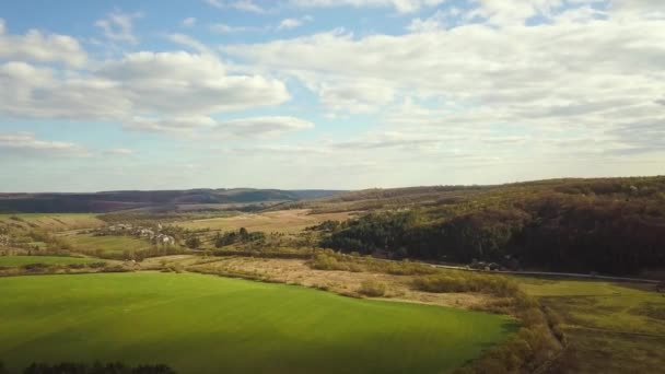 Luchtfoto van landelijke boerderijvelden en groen zomerbos met veel verse bomen - Video
