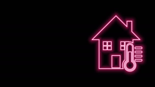 Gloeiende neon lijn Huistemperatuur icoon geïsoleerd op zwarte achtergrond. Thermometer icoon. 4K Video motion grafische animatie - Video
