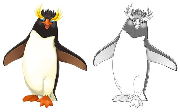 Cartoon animal penguin bird with sketch - illustration for children - Valokuva, kuva