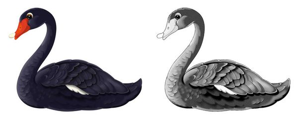 cartoon happy scene with sketch swan bird animal - illustration for children - Foto, Imagen