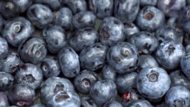 A lot of blueberries on the market close-up. The camera moves. - Footage, Video