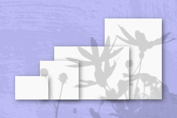 Αρκετά οριζόντια και κάθετα φύλλα λευκού χαρτιού με φόντο ροζ τοίχου. Mockup με μια επικάλυψη των σκιών των φυτών. Φυσικό φως ρίχνει σκιές από ένα τροπικό φυτό. - Φωτογραφία, εικόνα