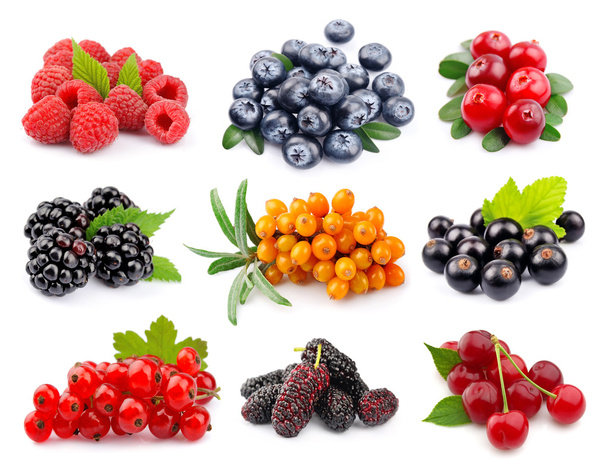 Set of berry  - Photo, image