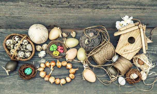 vintage decoration with eggs and flower bulbs - 写真・画像
