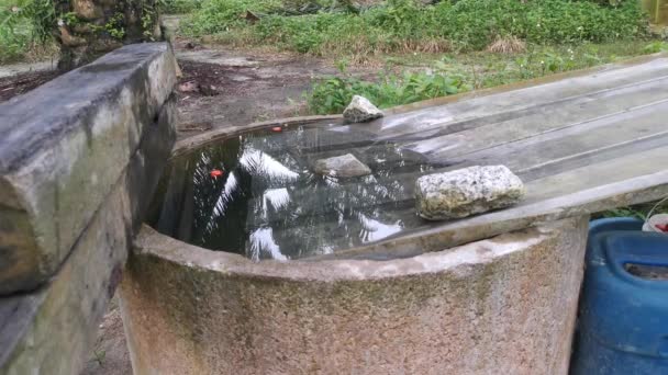 metraje de la mano de lavado en el pozo de hormigón lleno de agua - Metraje, vídeo