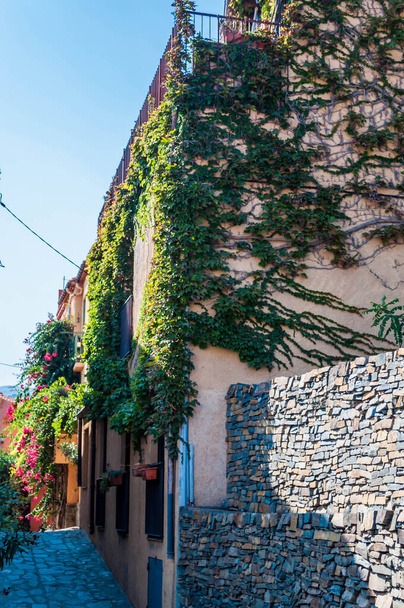 Collioure, rantakaupunki Vermeille rannikolla, Välimerellä, Occitanie, Ranska. - Valokuva, kuva