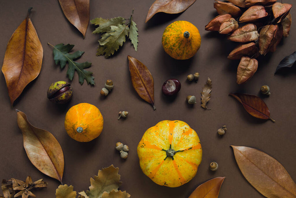 Autumn composition made of pumpkins, dried leaves, chestnuts and acorns. Autumn, fall, halloween concept. Flat lay, top view. - Photo, Image