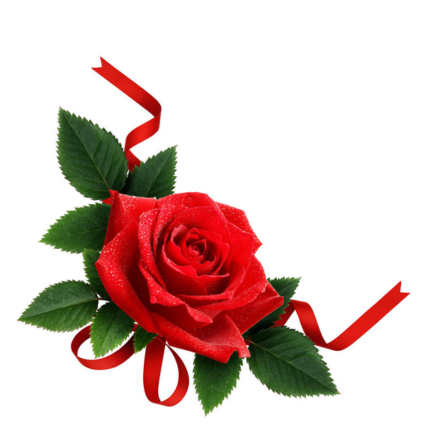 Red rose flower and silk ribbon arrangement isolated on white - Foto, Bild