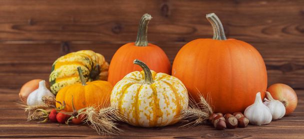 Autumn harvest still life with pumpkins , wheat ears , hazelnuts , garlic , onion and rosehip berries on wooden background - 写真・画像