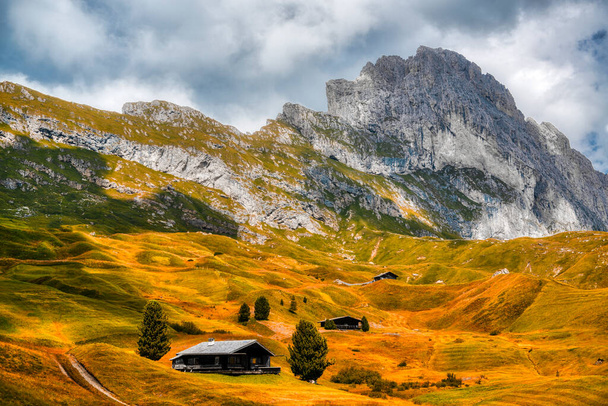Φθινοπωρινή περίοδος στο λιβάδι της Seceda στην κοιλάδα Gardena, Δολομίτες - Trentino-Alto Adige - Διάνυσμα, εικόνα