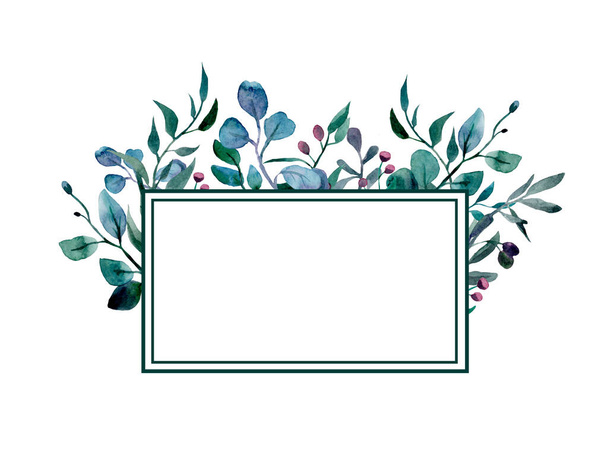 акварельный рисунок зеленых ветвей эвкалипта и оливкового дерева на белом фоне. Рамка для дизайна - Фото, изображение