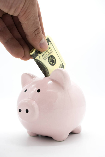 Pink piggy bank and money - Zdjęcie, obraz