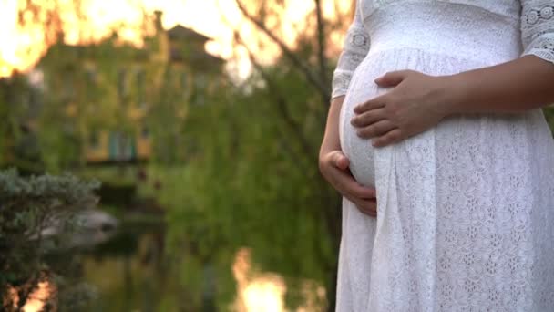 Zwangere vrouw zich gelukkig voelen in de tuin huis. - Video