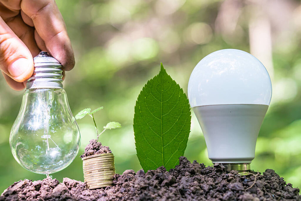 light bulb and stack of coins with a plant on the ground. Symbol of investment or income planning through savings - Photo, Image