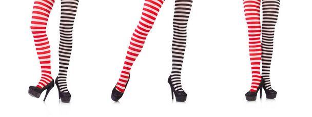 Striped leggings isolated on the white - Photo, Image