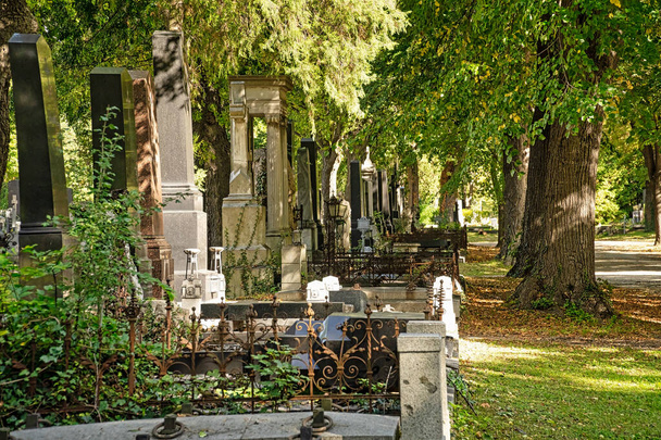 Hřbitov Podzim, staré hroby na centrálním hřbitově ve Vídni - Fotografie, Obrázek
