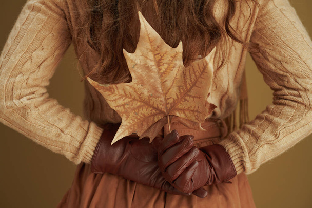 Hello autumn. Closeup on female in sweater with yellow autumn maple leaves on beige background. - Photo, Image