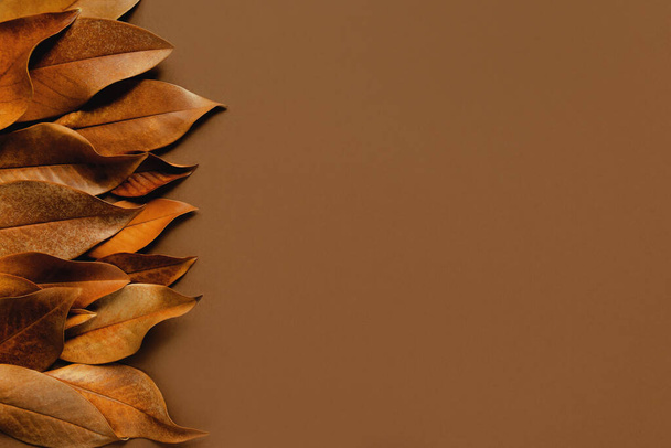 Composición de estilo mínimo hecha de hojas secas. Concepto de otoño y otoño. Diseño creativo. Piso tendido, vista superior, espacio para copiar. Colores de moda - Foto, Imagen