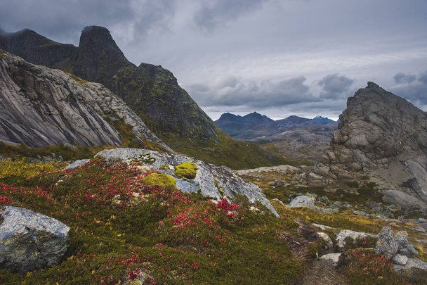 Mountains above fishing town of Nusfjord, Norway, Lofoten islands, golden autumn surrounded by colorful mountains and blue water  - Foto, afbeelding