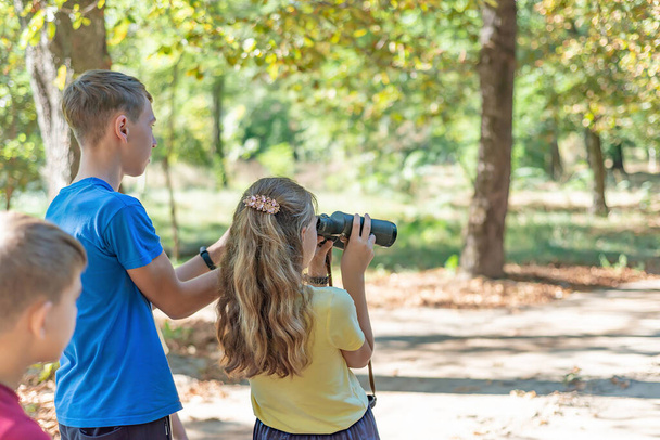 Children on a hike and look through binoculars, children's journey through the forest. - Valokuva, kuva