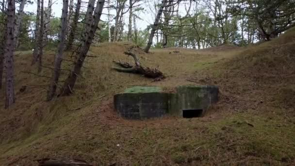 Ten bunkier z drugiej wojny światowej nazywa się Tobruk i znajduje się w lesie w Holandii.. - Materiał filmowy, wideo