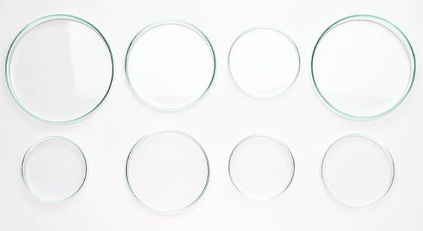 白い背景で生化学分析のための異なるサイズのペトリ皿. - 写真・画像