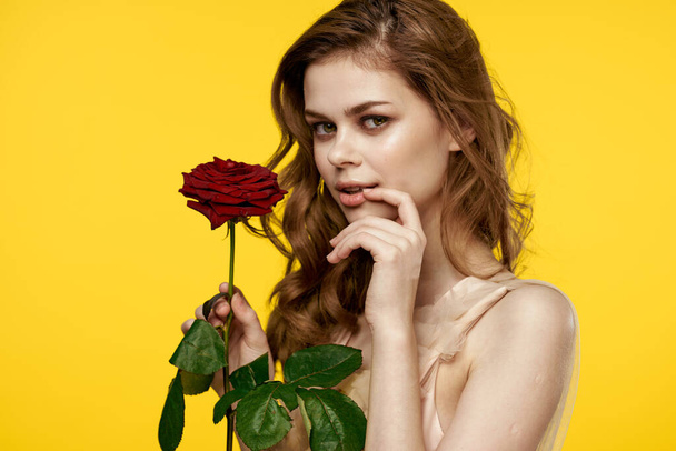 Νίκαια κορίτσι με κόκκινο τριαντάφυλλο σε κίτρινο φόντο περικοπή άποψη του μοντέλου συναίσθημα - Φωτογραφία, εικόνα