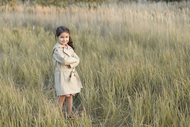A little girl stands in a field.Hands folded Concept of peace, hope, dreams, - Fotoğraf, Görsel