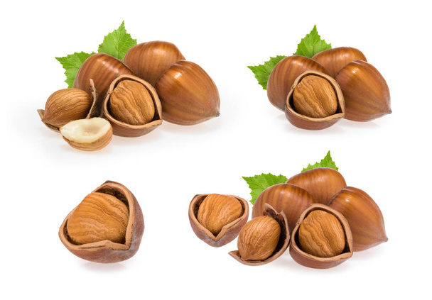 Hazelnuts isolated on white background - Photo, Image