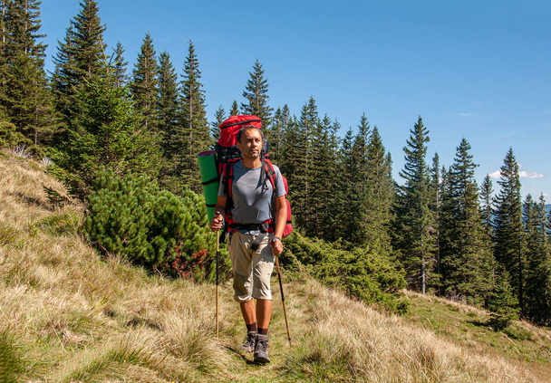 Un sportif avec un grand sac à dos et des bâtons de trekking dans ses mains marche le long d'un sentier de montagne dans les Carpates. Ukraine  - Photo, image