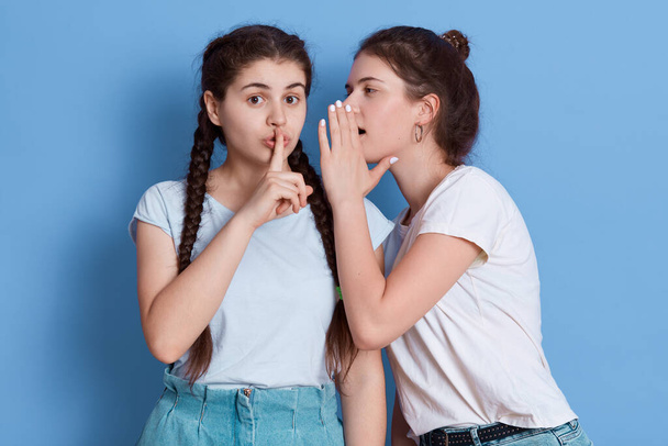 Two friends gossiping isolated over blue background, girl with knot whispering secret and keeps palm near mouth, girl with pigtails listening to her friend and keeping finger near lips. - Photo, Image