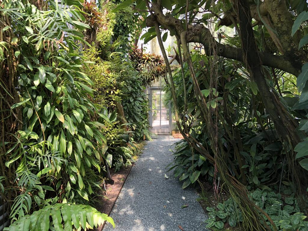 Tropical house or Tropenhaus (Palm house or Greenhouse) - Botanical Garden St. Gallen or Der Botanische Garten St. Gallen (Jardim Botânico de Sankt Gallen), Suíça / Schweiz - Foto, Imagem
