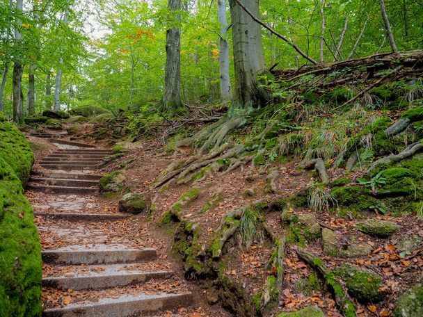 Escaliers en pierre dans le sentier en Basse-Silésie, Pologne. Heure d'automne  - Photo, image