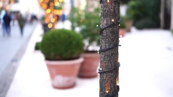 Inclusief kerstslinger op een boomstam buiten. Nieuwjaar straatverlichting in het park. Feestelijke lichtjes. Kleine gloeilampen close-up met Bokeh in de achtergrond. - Video