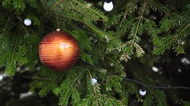 Bruin gestreepte kerstbal op boomtakken tussen bloemenslingers. - Video