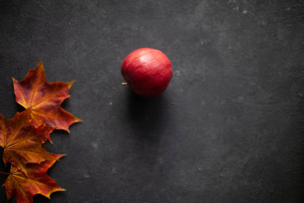 秋のカエデの葉と灰色のコンクリートに熟した庭の赤いリンゴ。秋の収穫の果実の概念。テキストのスペース. - 写真・画像