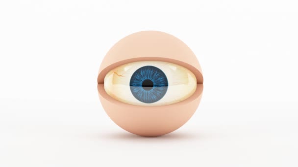 3D-hahmo silmä - vilkkuu. 3D animaatio sarjakuva silmien räpyttely - Materiaali, video