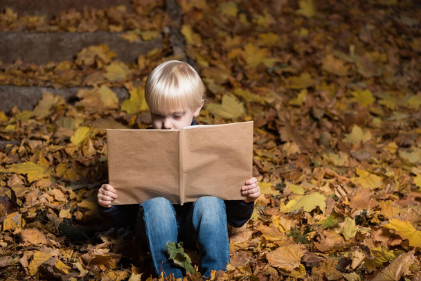 szép hajú fiú ül őszi levelek az erdőben, és tartja nagy könyvet a kezében. Gyermeknevelés. - Fotó, kép