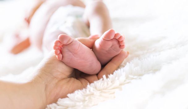 newborn baby mom holds legs. selective focus. people. - Fotoğraf, Görsel