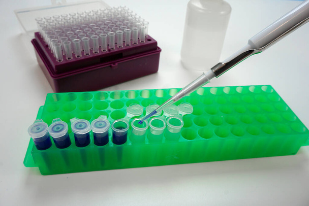 Pipeta de laboratório transferindo reagentes em tubos em um rack - Foto, Imagem