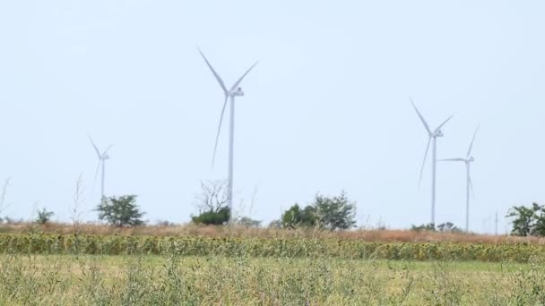 Windgeneratoren draaien in slow-motion in het zomerveld. Groene energie van de toekomst op het platteland. Oekraïne turbines boerderij, elektriciteitsopwekking - Video