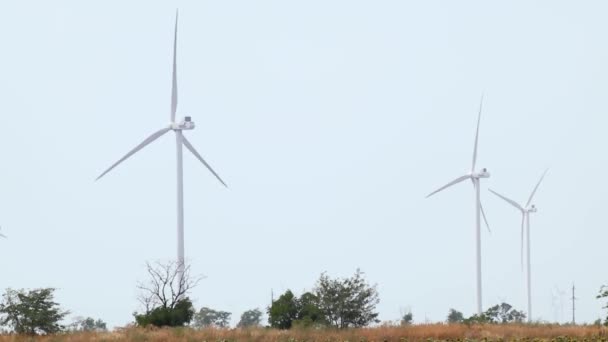 夏の黄色のフィールドで回転する風力発電機。田舎の未来のグリーンエコエネルギー。ウクライナのタービン、発電 - 映像、動画