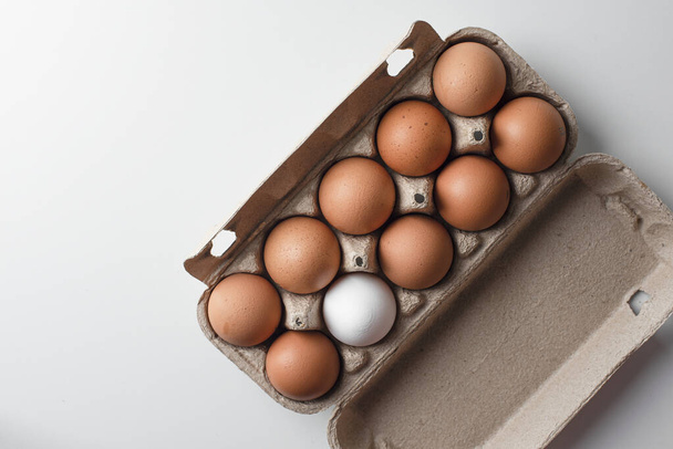 Many fresh raw chicken brown eggs in cartons with one white egg as background, top view. Place for text - Φωτογραφία, εικόνα