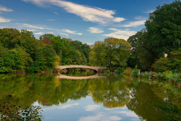 Reflection in lake water of Central Park with a view of trees and bridge in the background - Photo, Image
