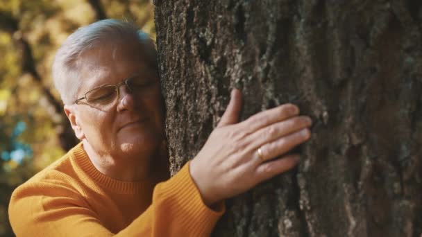 Un hombre mayor abraza cariñosamente un tronco de árbol y se siente relajado y bien en el día de otoño - Metraje, vídeo