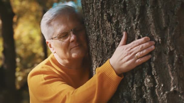 Пожилой мужчина с любовью обнимает и склоняется лицом к стволу дерева чувствует себя расслабленным и хорошим в осенний день - Кадры, видео