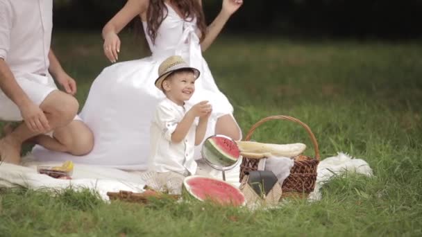 Genitori amorevoli con ragazzo al picnic il giorno d'estate. - Filmati, video