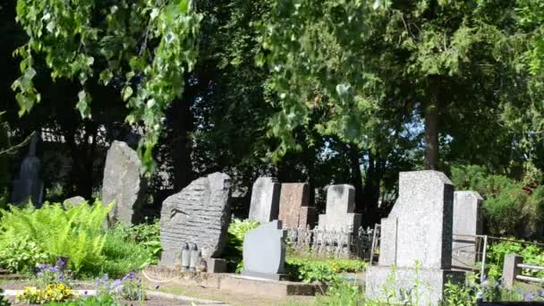 Gravestone árvore cemitério
 - Filmagem, Vídeo