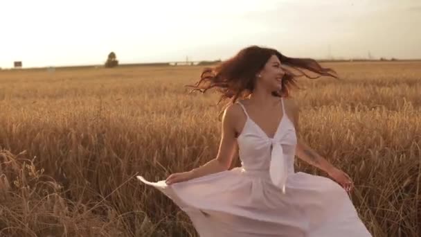 Beauty having fun in wheat field. - Footage, Video