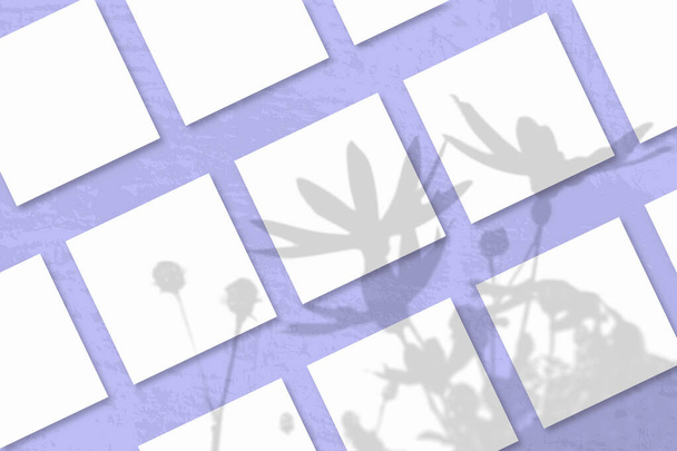 Naturalne światło rzuca cienie z kwiatów karczocha jerozolimskiego na kilka kwadratowych arkuszy białego papieru teksturowanego leżącego na liliowym tle - Zdjęcie, obraz